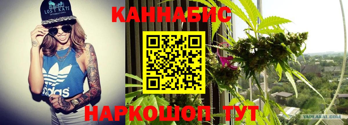 Канабис Bruce Banner Кизляр